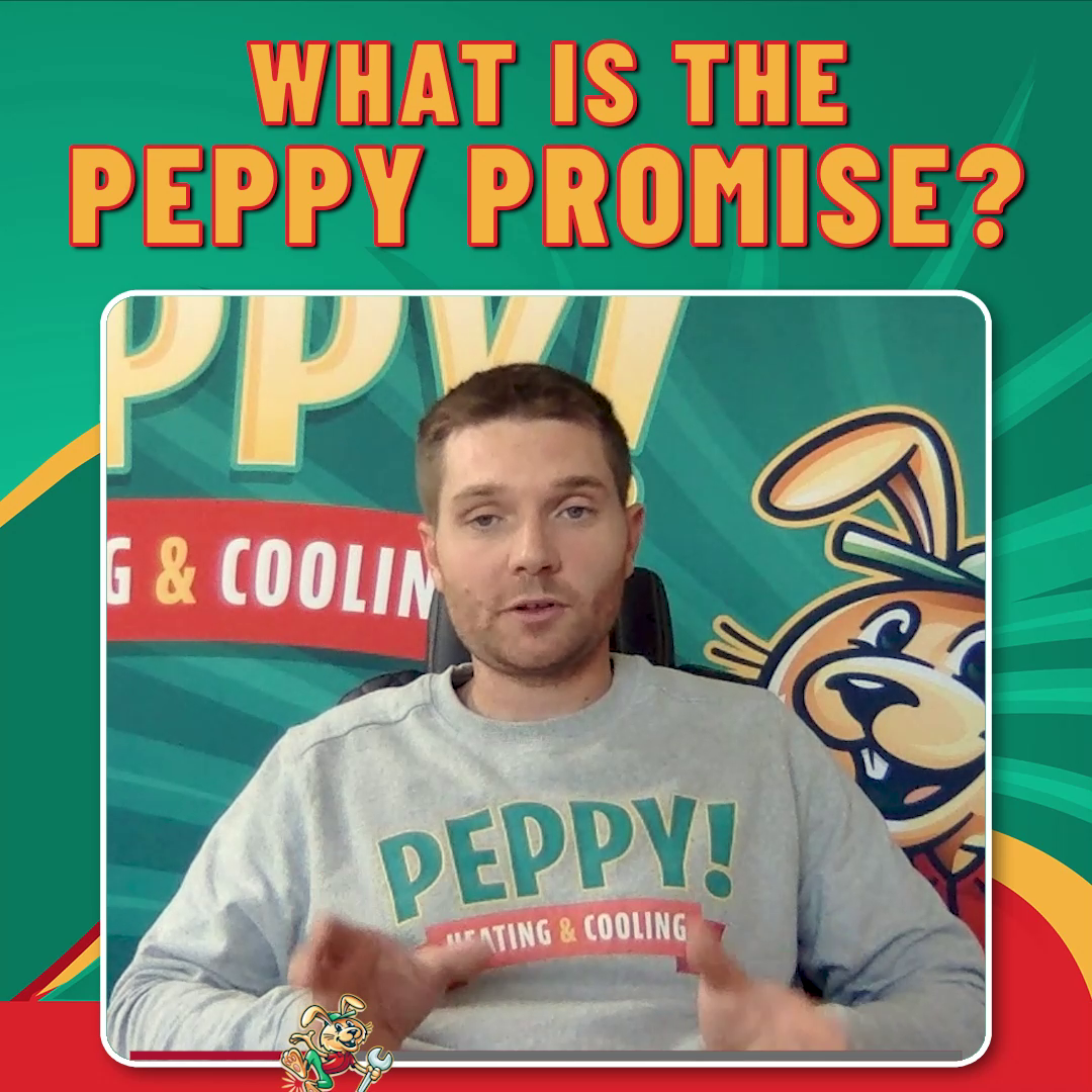 What Is The Peppy Promise