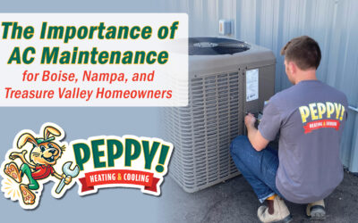 The Importance of AC Maintenance